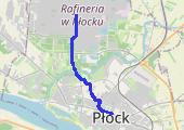 Płock 2022-01-20 20:15 - mapa trasy gps - spacer