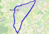 Trasa z dnia 2022-01-28 19:33 - mapa trasy gps - bieganie