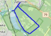 Trasa z dnia 2013-08-20 16:02 - mapa trasy gps - bieganie