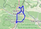 Trasa z dnia 2022-03-13 12:00 - mapa trasy gps - rower szosowy