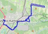 Trasa z dnia 2022-06-16 11:24 - mapa trasy gps - rower szosowy