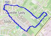 Narutowicza - park przy szpitalu - mapa trasy gps - marsz