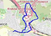 Trasa z dnia 2013-08-21 18:43 - mapa trasy gps - spacer