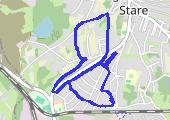 Trasa z dnia 2021-01-17 20:02 - mapa trasy gps - spacer