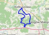 Afternoon_Ride - 2022-10-18T204812.774 - mapa trasy gps - rower górski