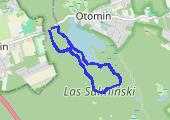 Trasa z dnia 2022-10-13 11:25 - mapa trasy gps - bieganie