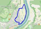 Trasa z dnia 2022-11-12 13:30 - mapa trasy gps - rower górski