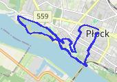 Płock 2022-11-19 16:04 - mapa trasy gps - spacer