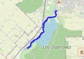 06.11.2022 17_00 - mapa trasy gps - bieganie
