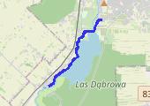 13.11.2022 08_42 - mapa trasy gps - bieganie