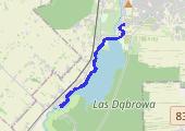 04.10.2022 12_01 - mapa trasy gps - bieganie