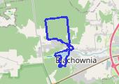 Spacerem po lesie - mapa trasy gps - spacer