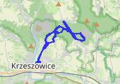 2022-01-29_09-00-06 - mapa trasy gps - marsz