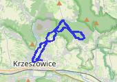 2022-02-19_13-58 - mapa trasy gps - marsz