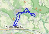 2022-03-06_13-47 - mapa trasy gps - marsz
