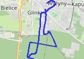 Trasa z dnia 2022-11-20 20:08 - mapa trasy gps - rower górski