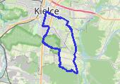 Ślad_2020-07-19 171211 - mapa trasy gps - rower górski