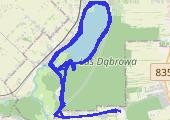 Trasa z dnia 2013-08-25 19:48 - mapa trasy gps - rower górski