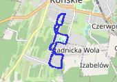 Trasa z dnia 2024-10-31 07:59 - mapa trasy gps - nordic walking