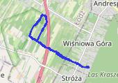 Trasa z dnia 2024-11-16 16:33 - mapa trasy gps - bieganie