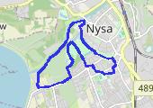Trasa z dnia 2024-11-23 17:51 - mapa trasy gps - rower górski