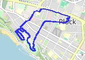 'Płock 2024-12-08 19:50 - mapa trasy gps - spacer