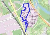 Trasa z dnia 2026-02-22 19:28 - mapa trasy gps - marsz