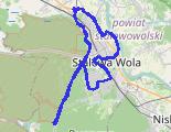 Trasa z dnia 2026-07-29 21:08 - trasa rowerowa