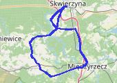 Międzyrzecz - mapa trasy gps - rower trekkingowy