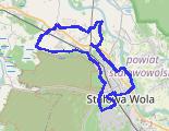 Trasa z dnia 2026-08-09 20:42 - trasa rowerowa