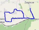 Trasa z dnia 2026-08-11 18:33 - trasa biegowa