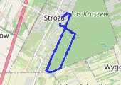 Trasa z dnia 2026-08-19 19:03 - mapa trasy gps - bieganie