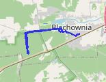 Z rowerem po lesie - trasa rowerowa