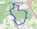 Z rowerem po lesie - trasa rowerowa
