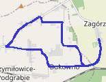 Trasa z dnia 2026-09-16 11:55 - trasa biegowa