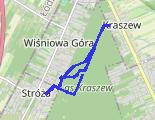 Trasa z dnia 2026-09-19 13:07 - trasa marszu