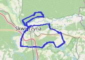 Przytoczna, Świniary - mapa trasy gps - rower trekkingowy
