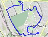 Trasa z dnia 2026-10-04 14:06 - trasa nordic walking