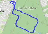 Trasa z dnia 2026-10-09 12:06 - mapa trasy gps - marsz