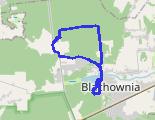 Z rowerem po lesie - trasa rowerowa
