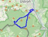 z - trasa 