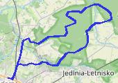 Trasa z dnia 2013-08-28 11:11 - mapa trasy gps - rower górski