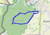 Głuchołazy - Średnia Kopa - mapa trasy gps - marsz