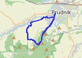 Prudnik - Zajęcza Kępa - Stadt Kotzem - Łąka Pr. - Prudnik - mapa trasy gps - marsz