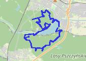 Trasa z dnia 2013-08-31 15:21 - mapa trasy gps - marsz