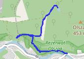 Pokrzywna - Żabie Oczko - mapa trasy gps - marsz