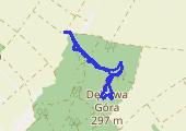 Grzybobranie w Lesie Trzebińskim pod Dębową Górą - mapa trasy gps - marsz