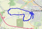Trasa z dnia 2013-10-13 14:13 - mapa trasy gps - rower górski