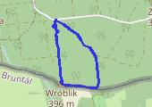 Grzybobranie pod Wróblikiem - mapa trasy gps - marsz