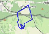 Z Wieszczyny na Świętego Rocha - mapa trasy gps - marsz